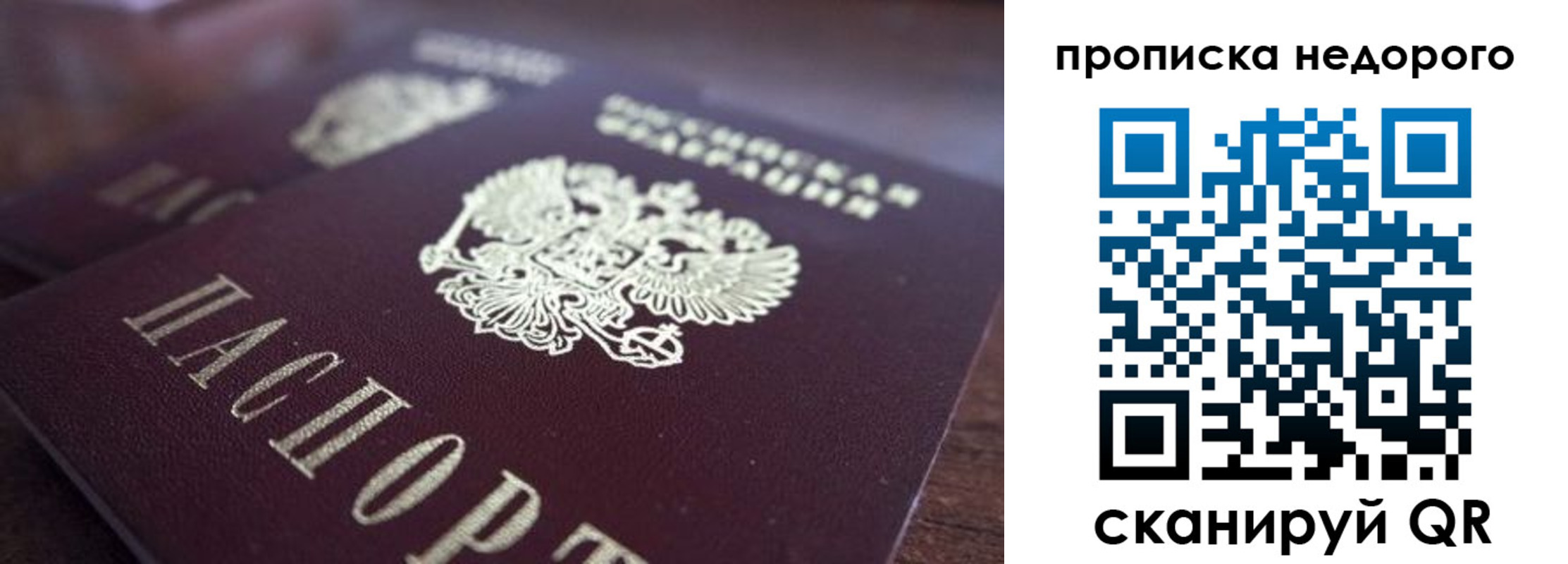 прописка штамп в Лыткарино